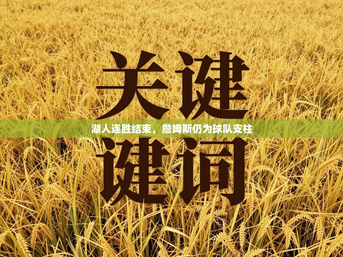 湖人连胜结束，詹姆斯仍为球队支柱