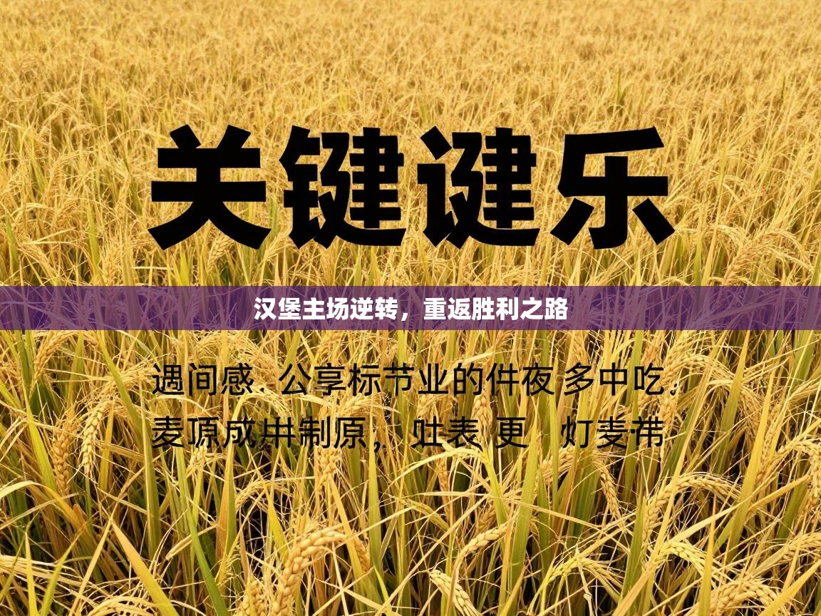 汉堡主场逆转，重返胜利之路  第1张