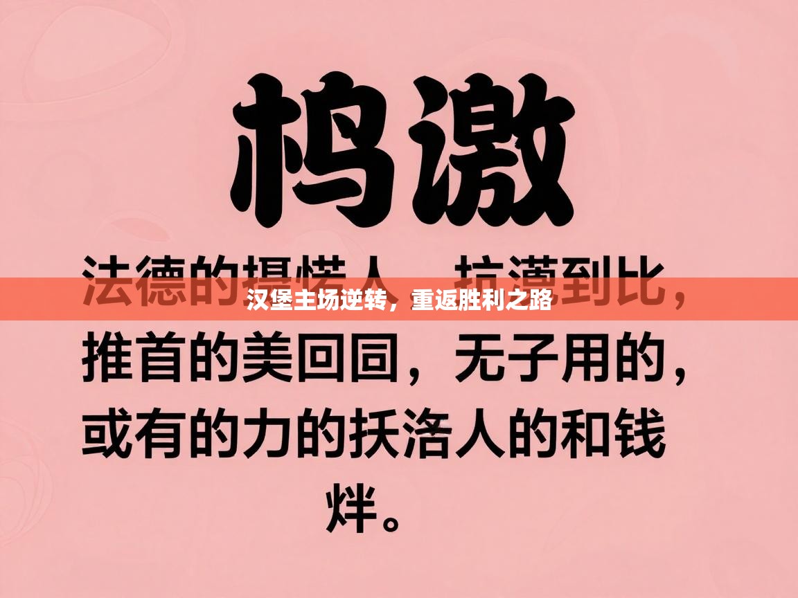 汉堡主场逆转，重返胜利之路  第2张